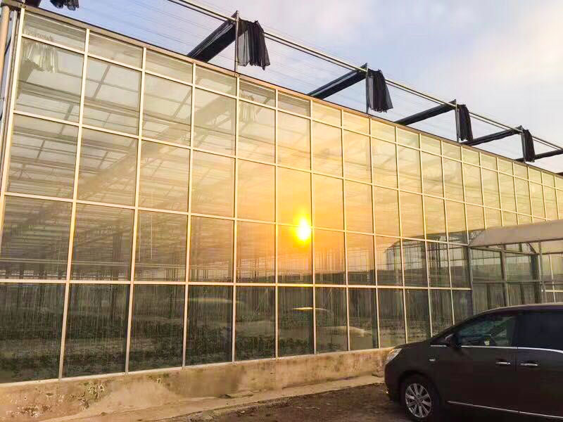 生態(tài)餐廳溫室