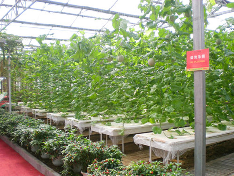 無(wú)土栽培育苗苗床溫室自動(dòng)化