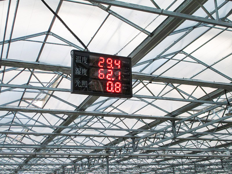 無(wú)土栽培育苗苗床溫室自動(dòng)化