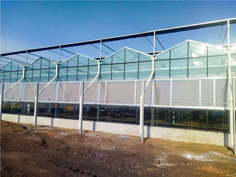 連棟溫室