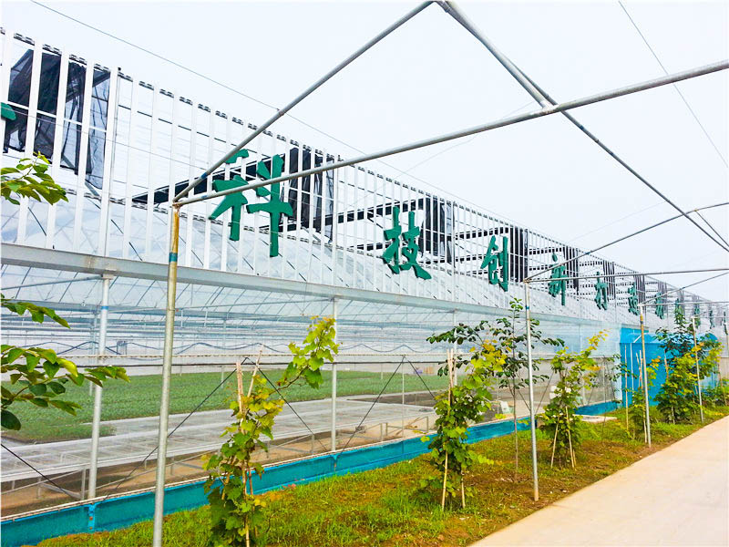 薄膜溫室