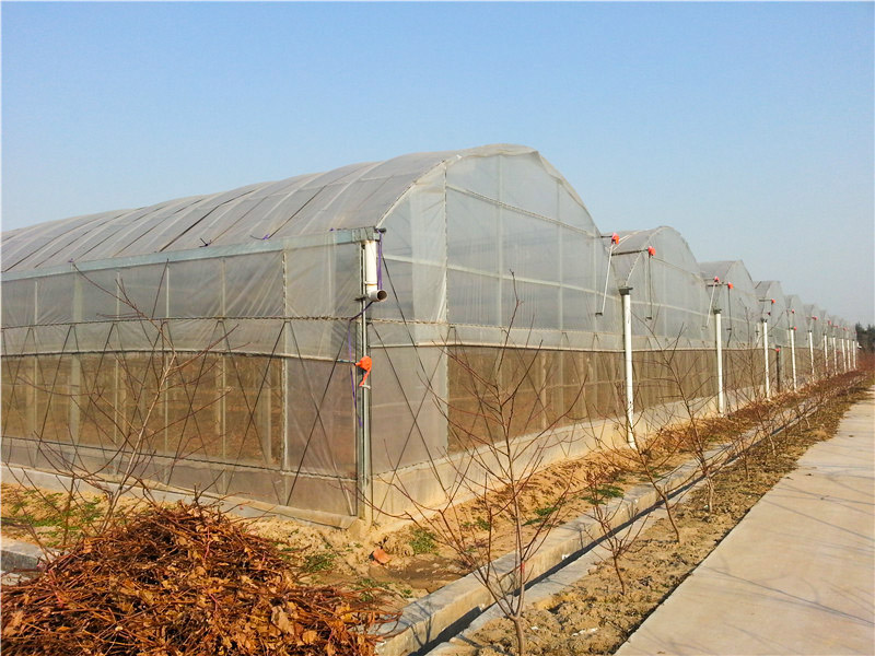 薄膜溫室
