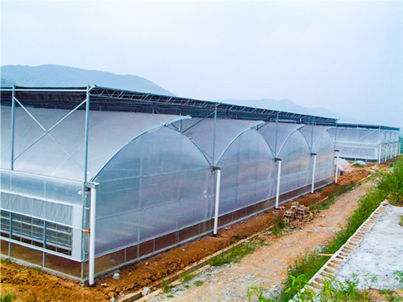 薄膜溫室