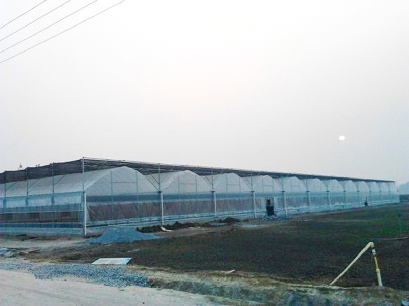 薄膜溫室