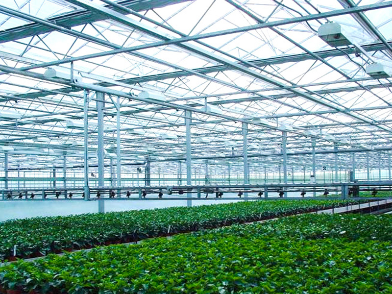 陽(yáng)光板(pc板)溫室