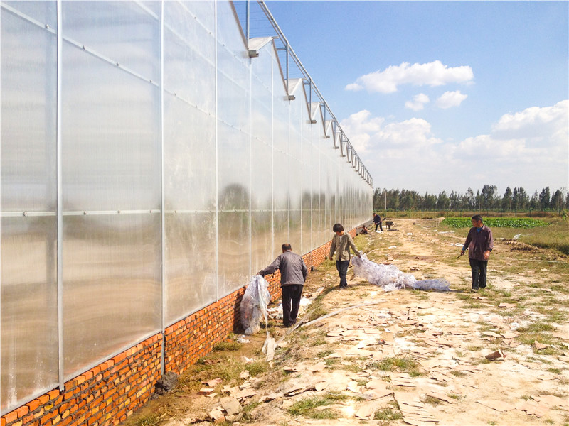 陽(yáng)光板(pc板)溫室