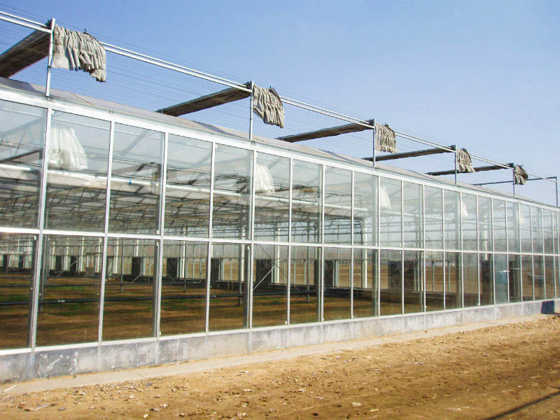 玻璃溫室