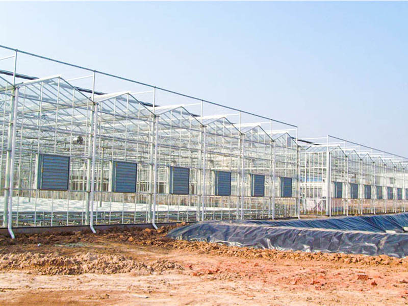 玻璃溫室